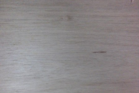 solid timber1